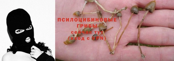МДПВ Богданович