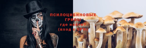 МДПВ Богданович