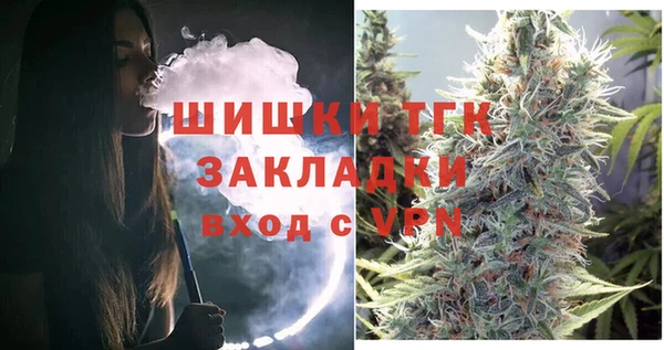 хмурый Бородино